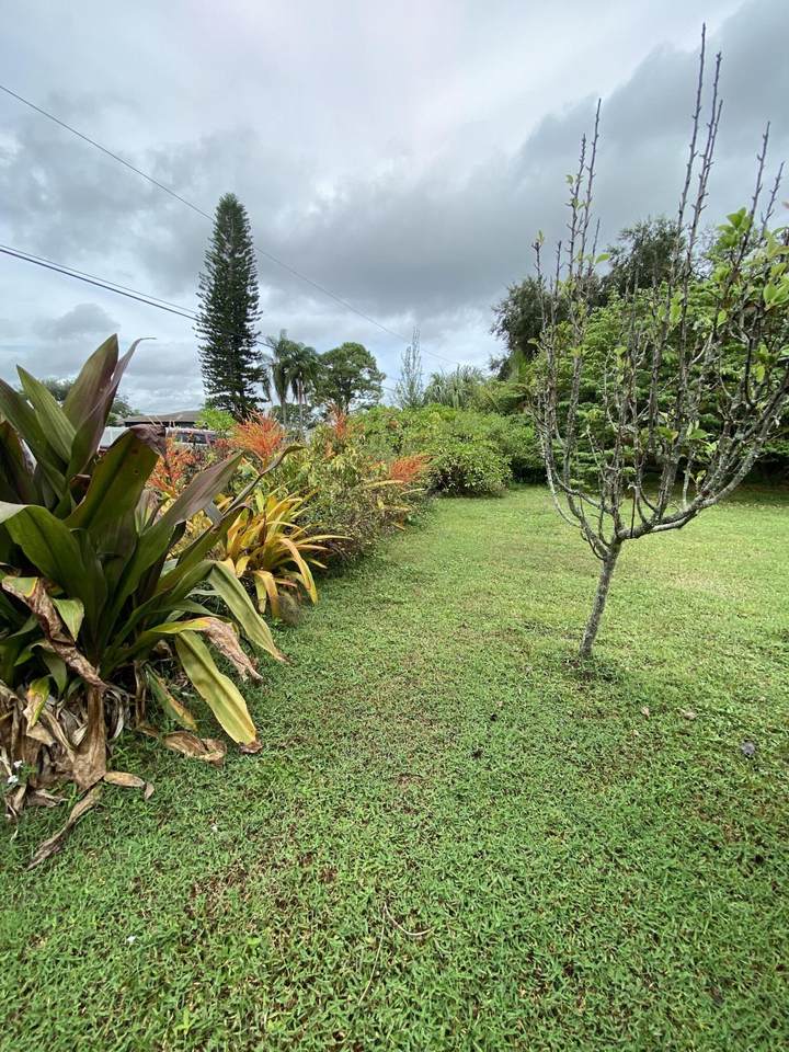 2033 Aneci Street - Photo 1