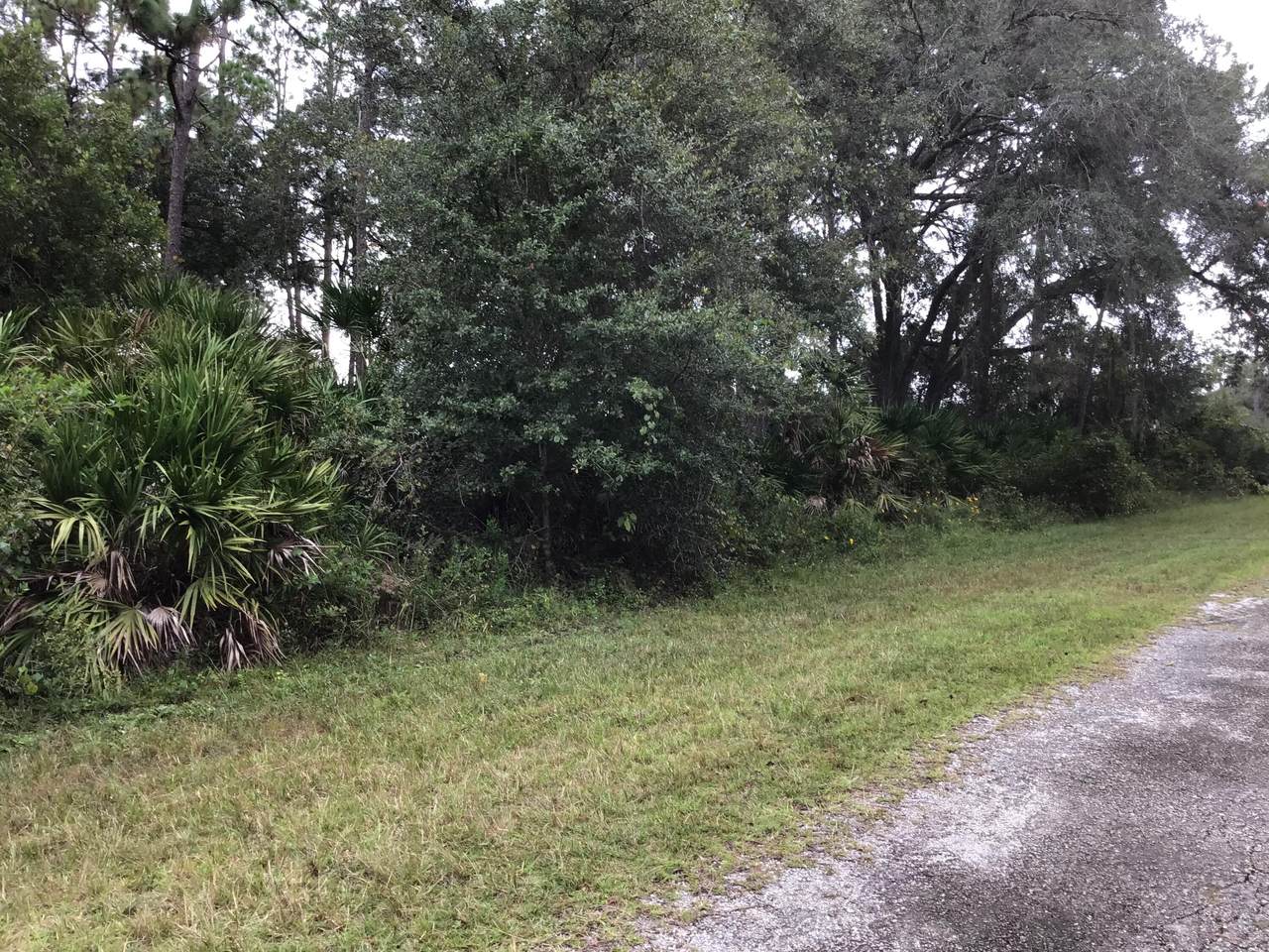 0 Plumosa Drive - Photo 1