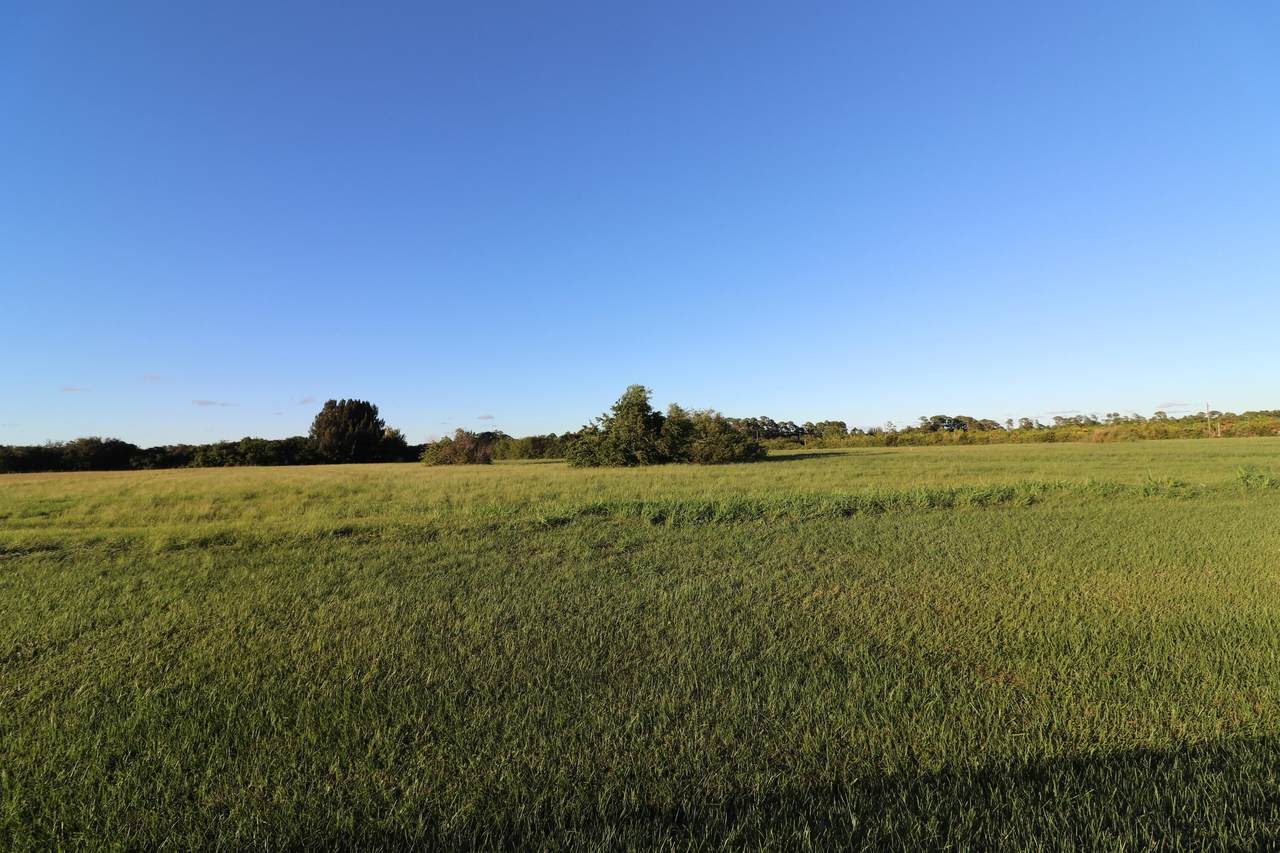 3625 Stoneybrook Way - Photo 1