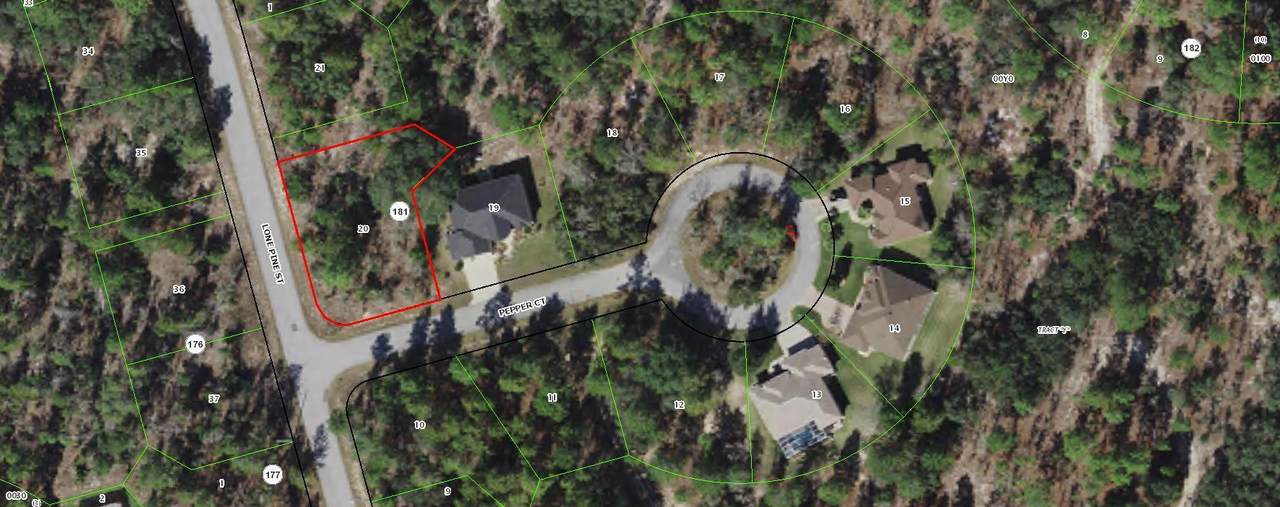 50 Lone Pine Street - Photo 1