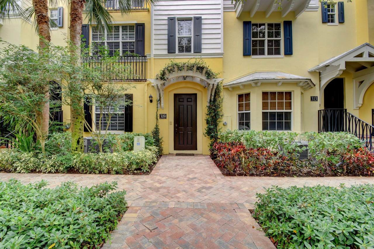 309 Bromeliad - Photo 1