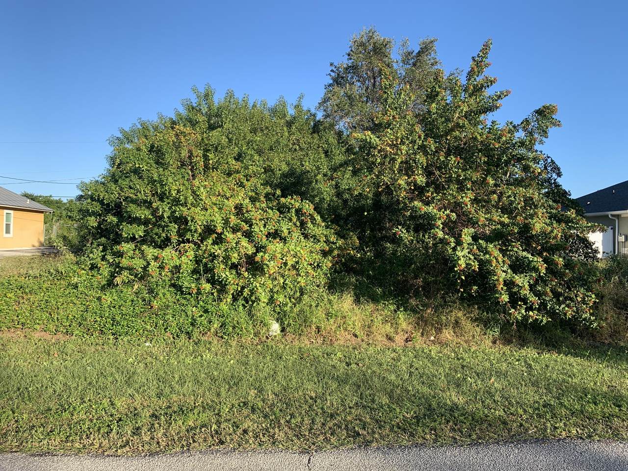 721 Hogan Street - Photo 1
