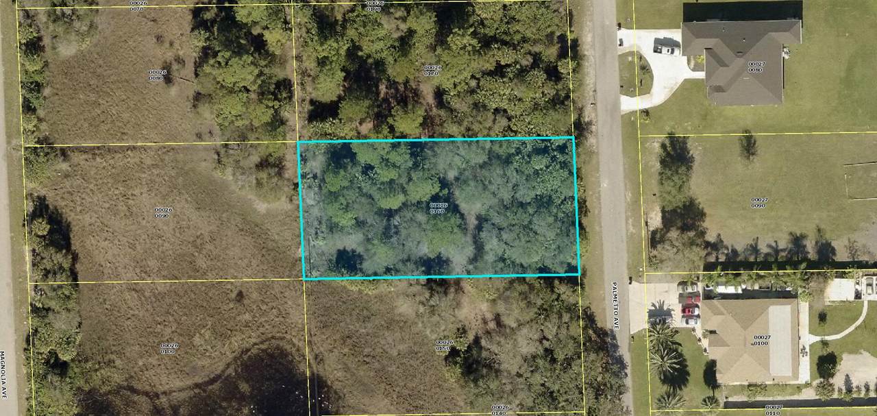 607 Palmetto Avenue - Photo 1