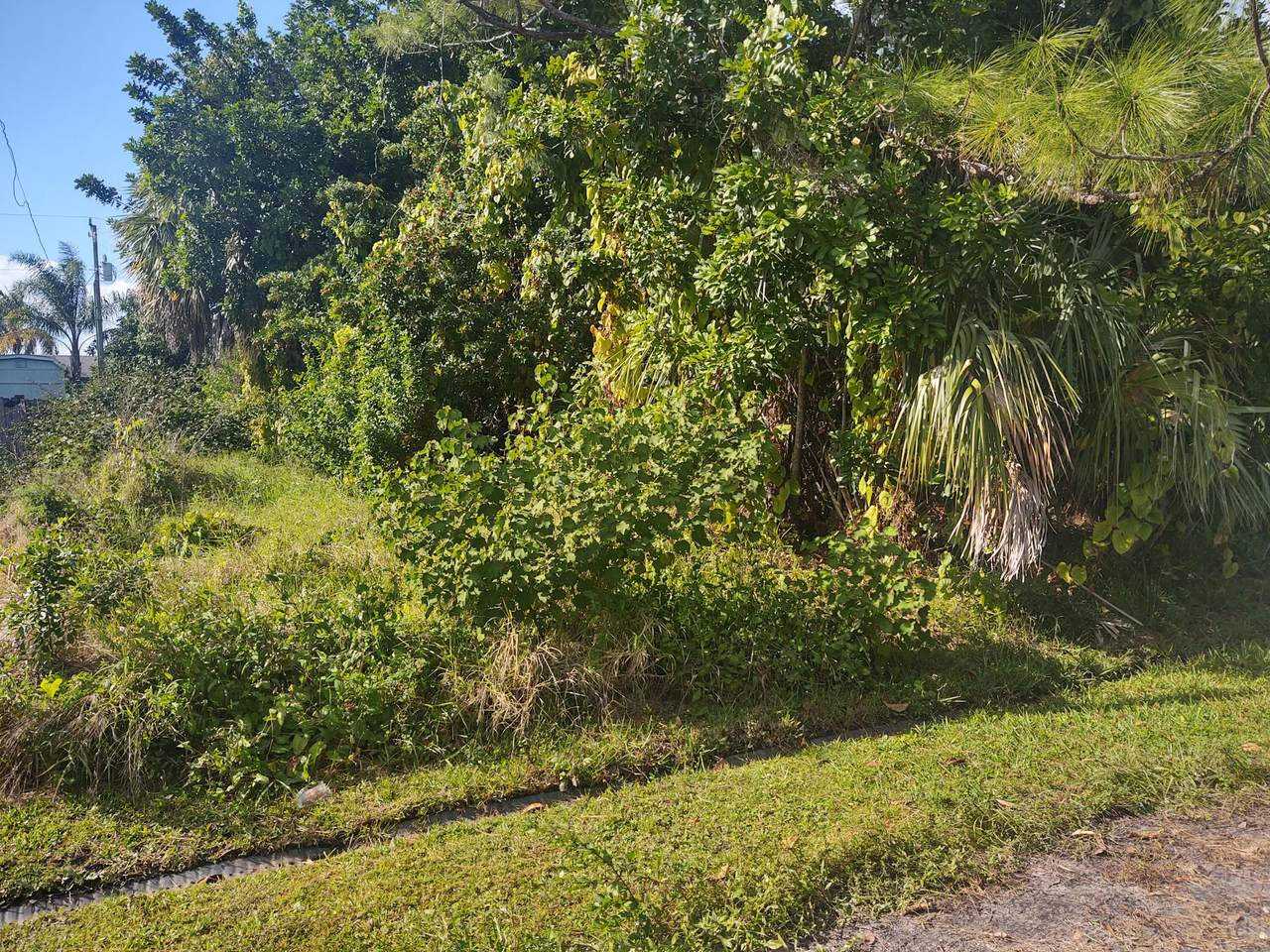 554 Conover Street - Photo 1