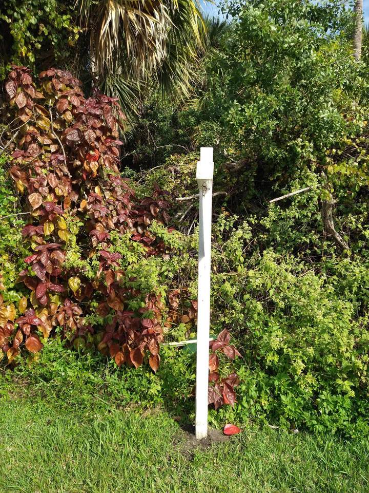 2361 Neal Road - Photo 1