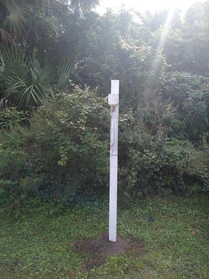 838 Becker Road - Photo 1