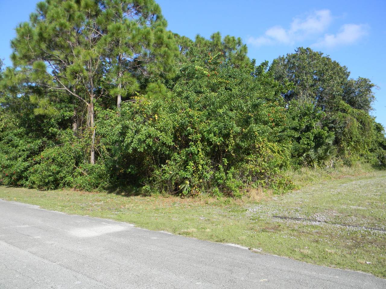 642 Jada Road - Photo 1