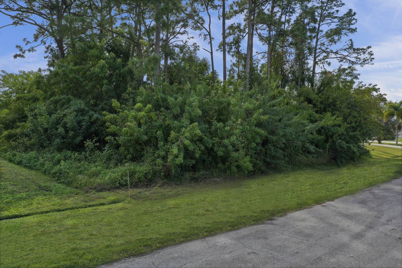 204 Uneeda Place - Photo 1