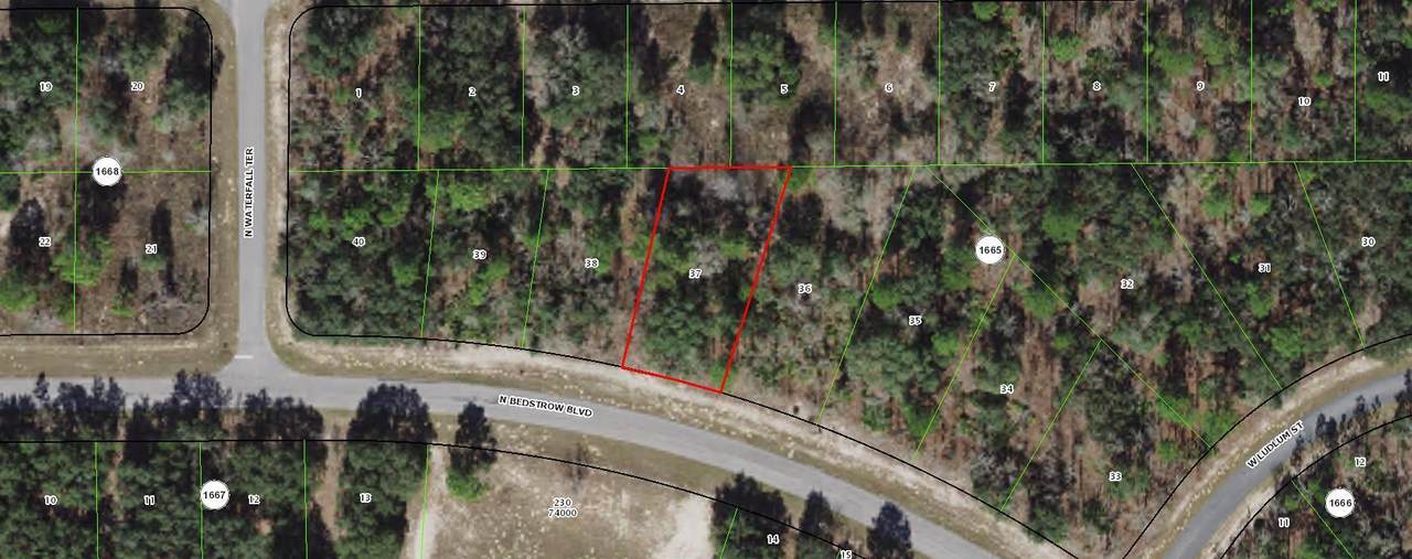 6587 Bedstrow Boulevard - Photo 1