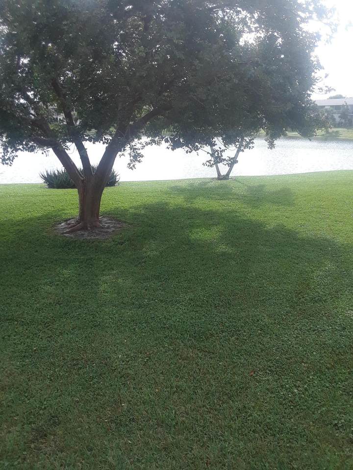 138 Somerset G - Photo 1