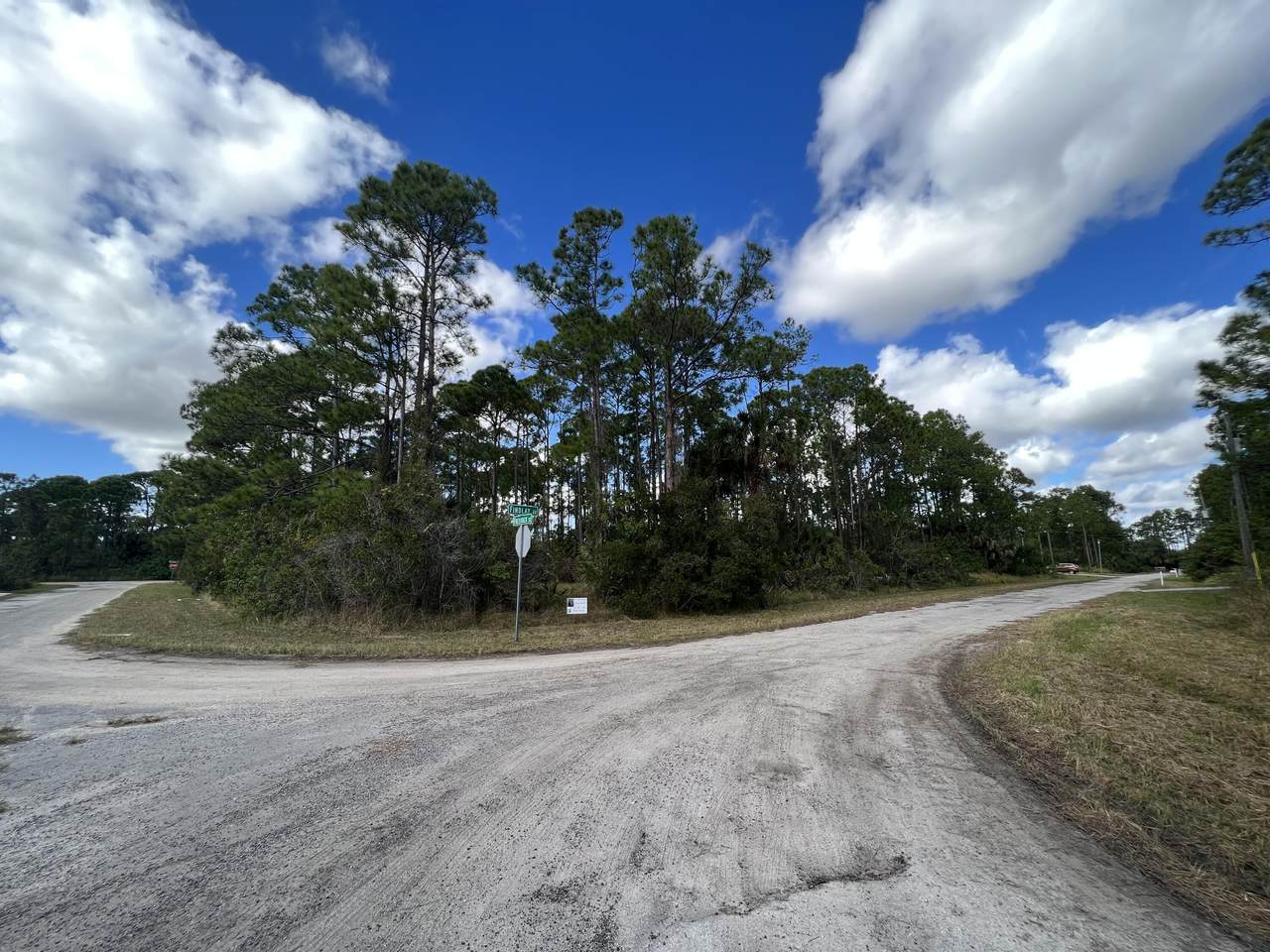 0000 Findlay Avenue - Photo 1