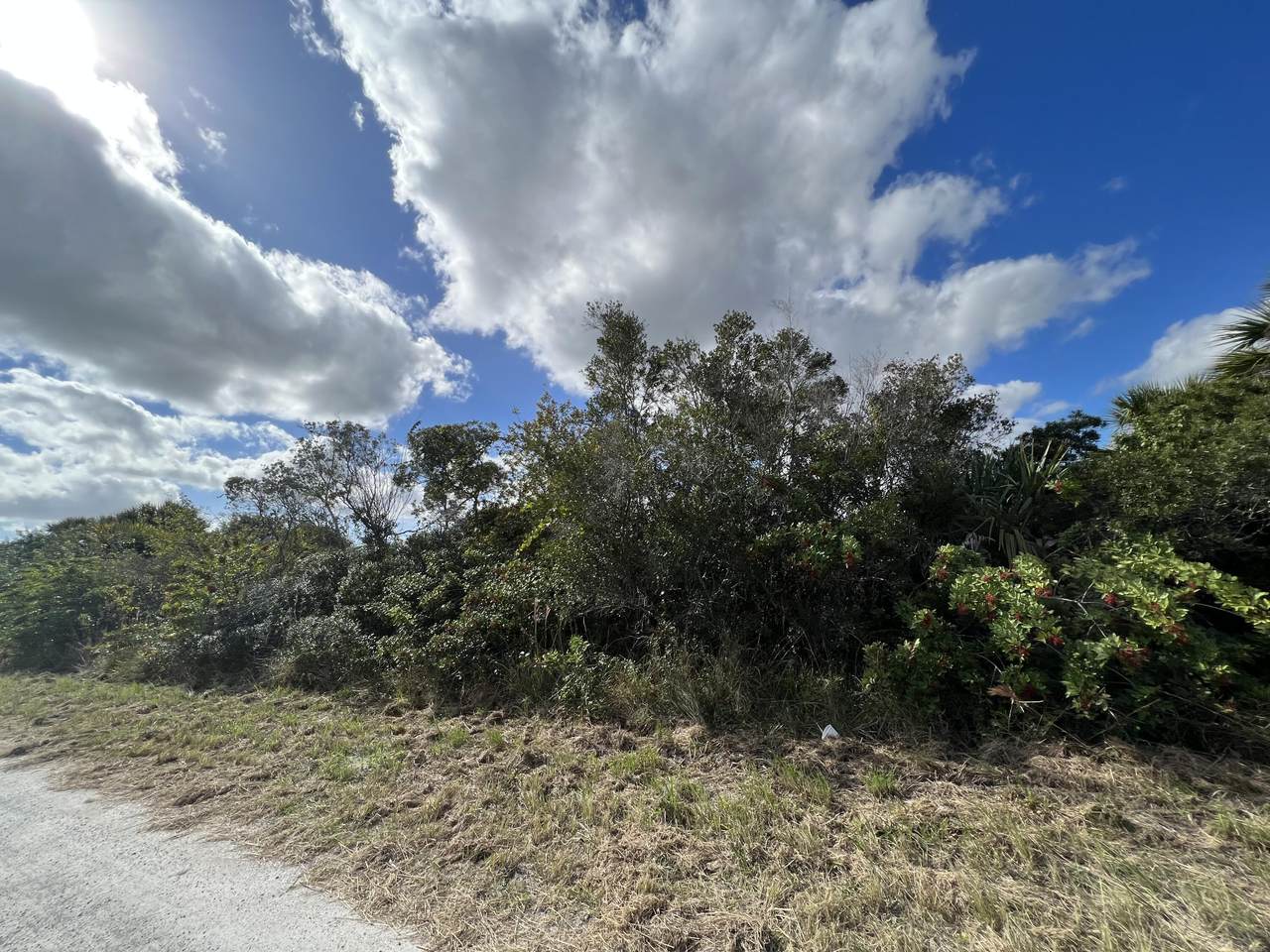 3150 Metcalf Avenue - Photo 1