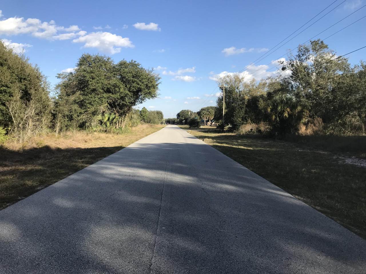 5232 Sebring Lakes Boulevard - Photo 1