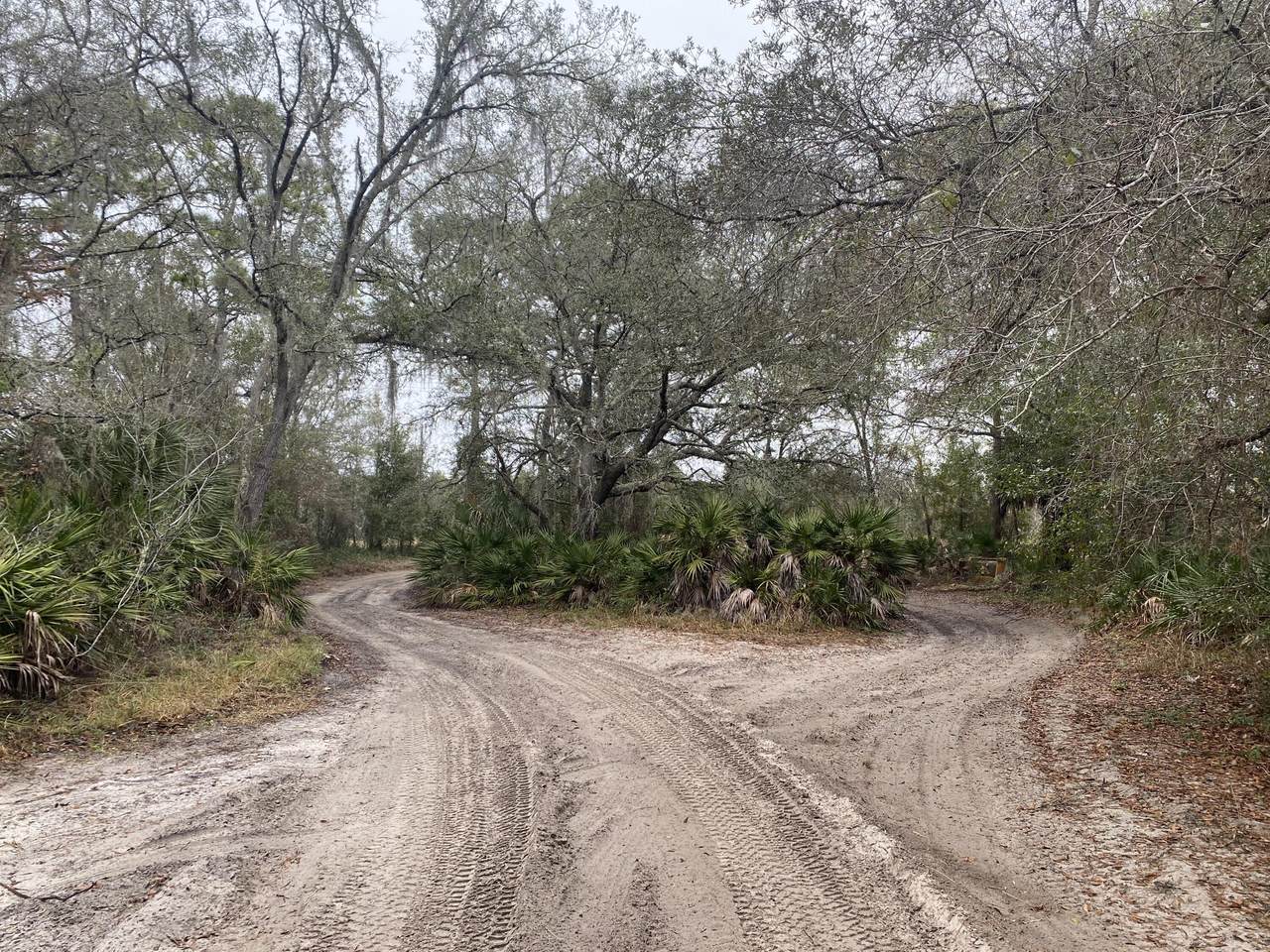 4059 Holiday Drive - Photo 1