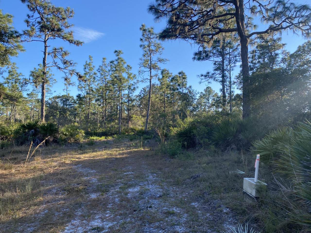 00 River Ranch - Photo 1