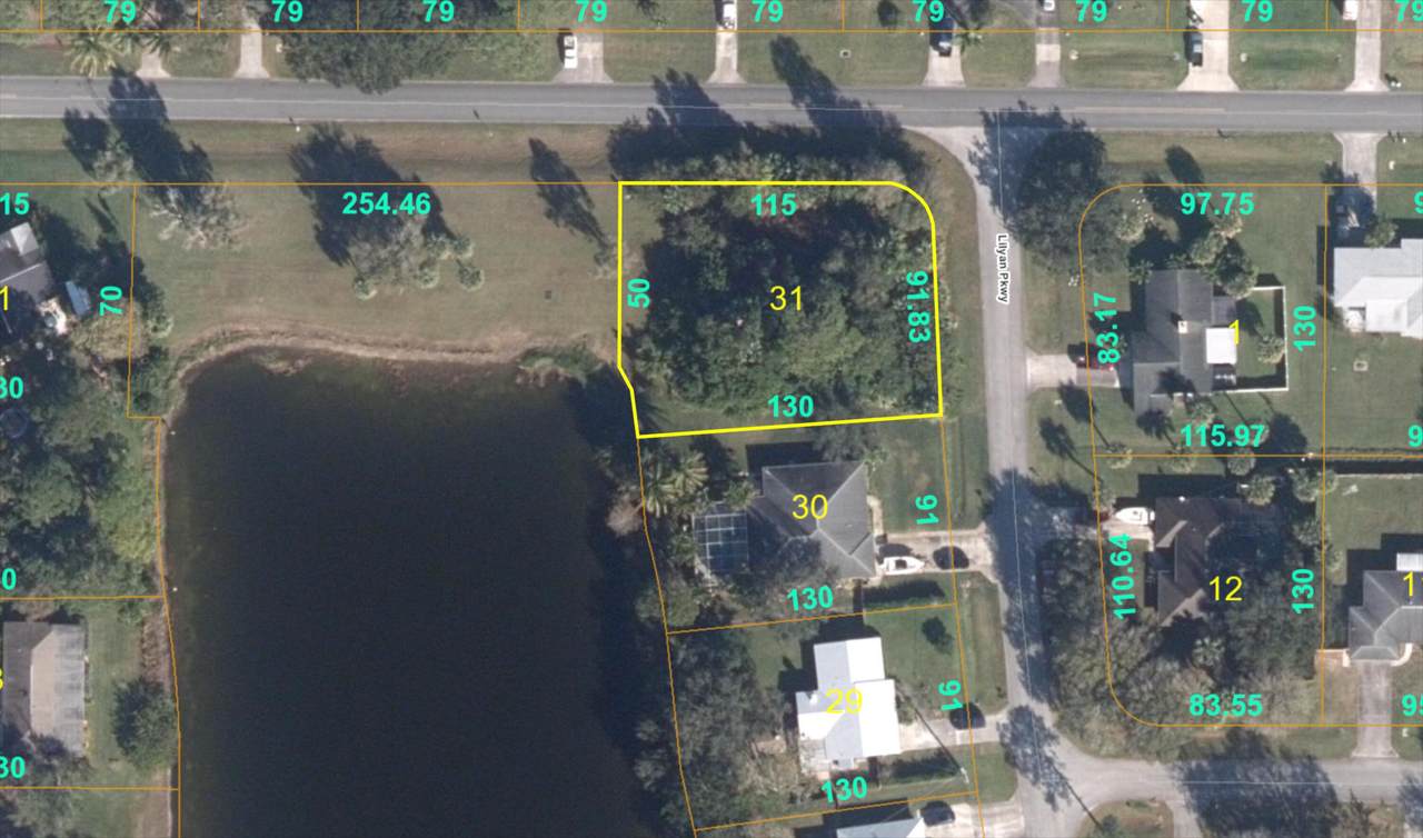 6313 Lilyan Parkway - Photo 1
