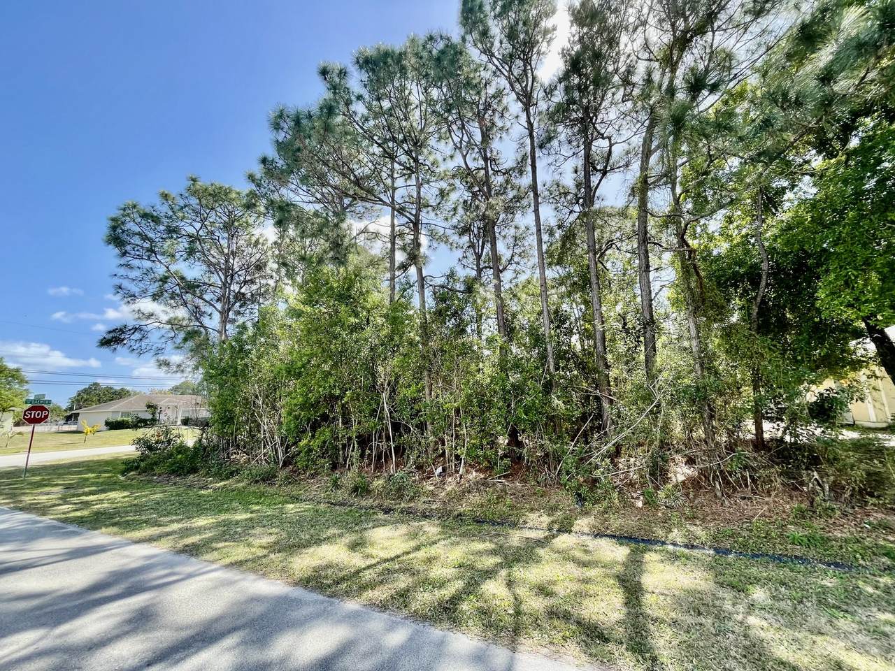 1502 Kamchatka Avenue - Photo 1
