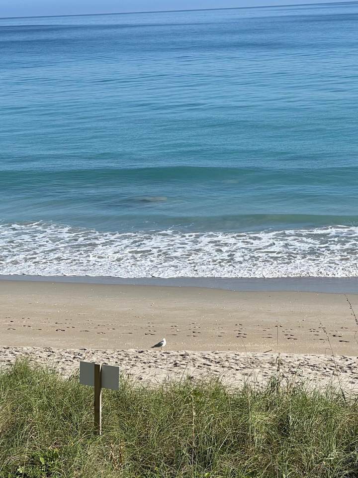 8750 Ocean Drive - Photo 1