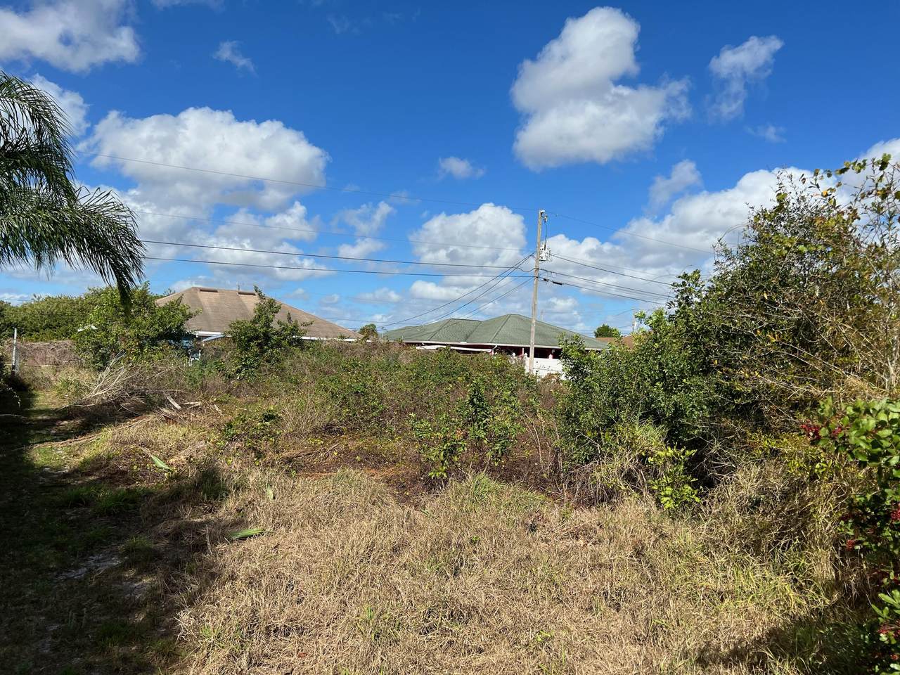 4244 Bachman Street - Photo 1