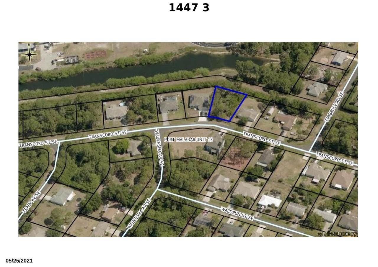 1447 Transcoro Street - Photo 1