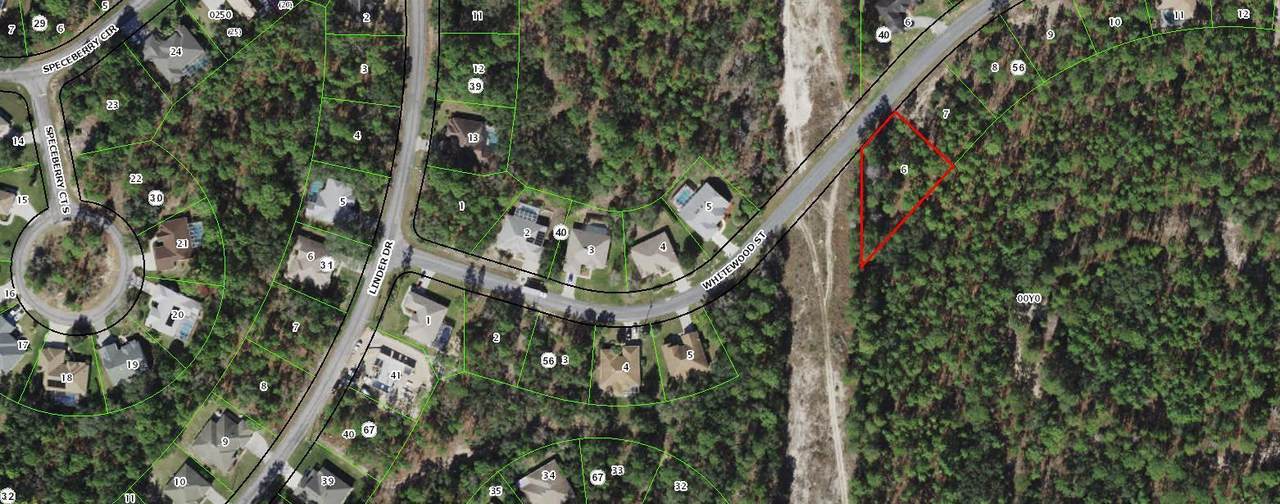 15 Whitewood Street - Photo 1