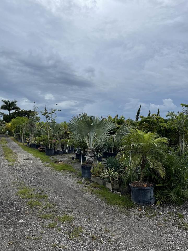 Smith Sundy Road - Photo 1