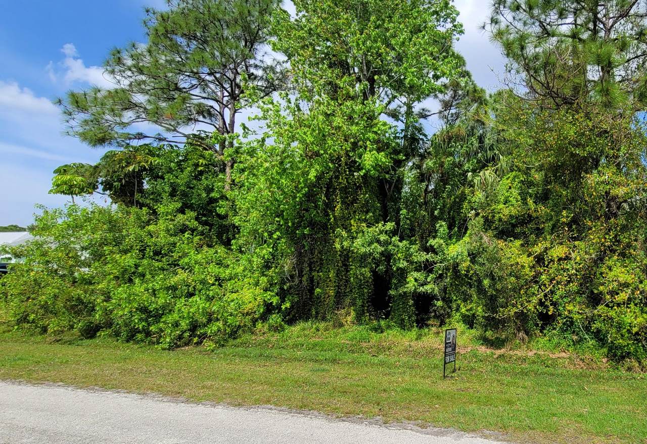 233 Starfish Avenue - Photo 1