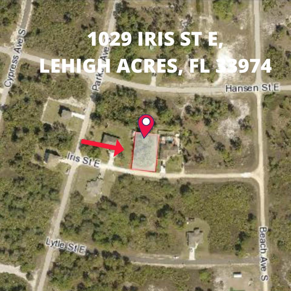 1029 Iris Street - Photo 1