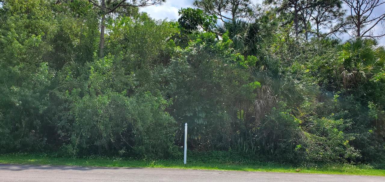 8003 Roberts Road - Photo 1