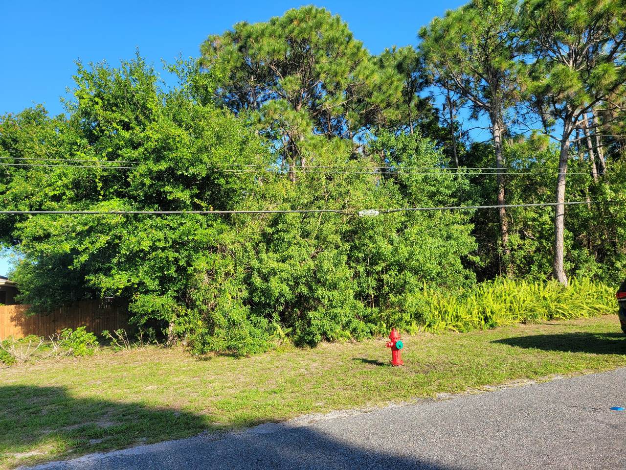 Tbd Silver Oak Drive - Photo 1