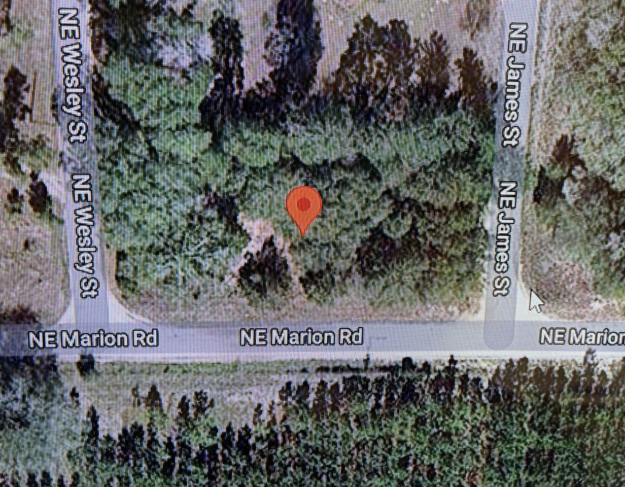 0 Marion Road - Photo 1