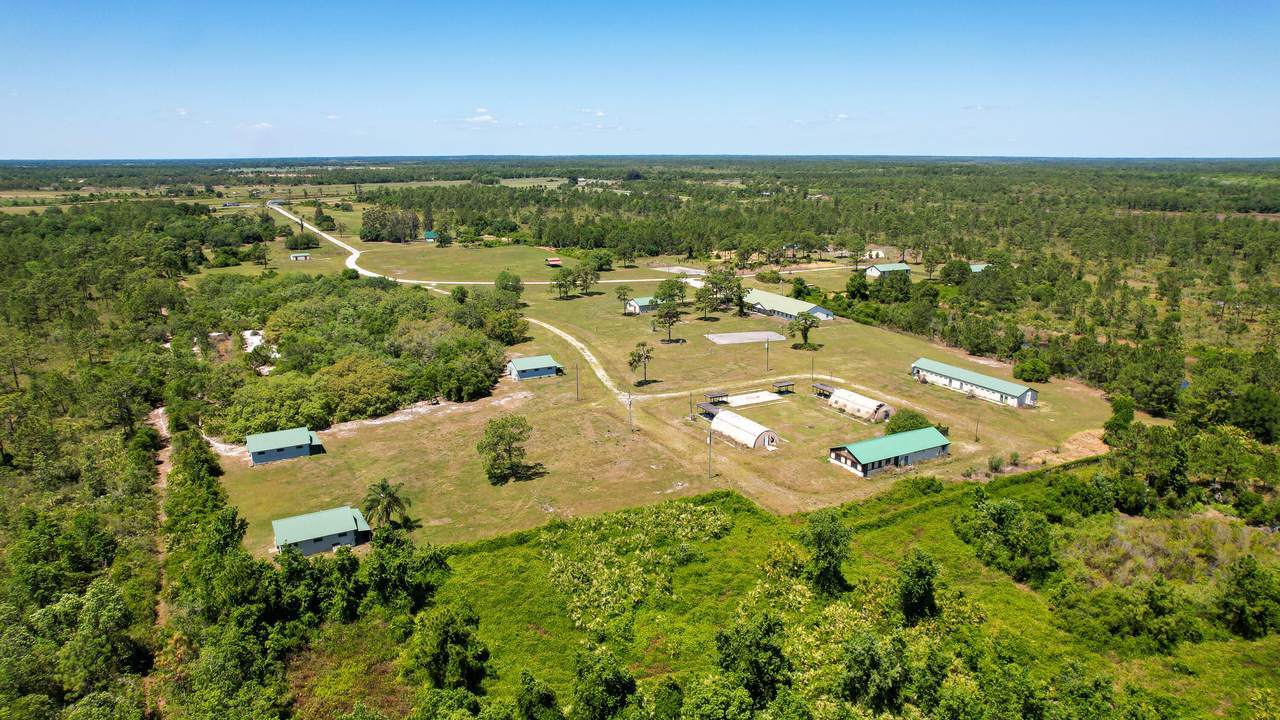 42672 Hwy 441 - Photo 1