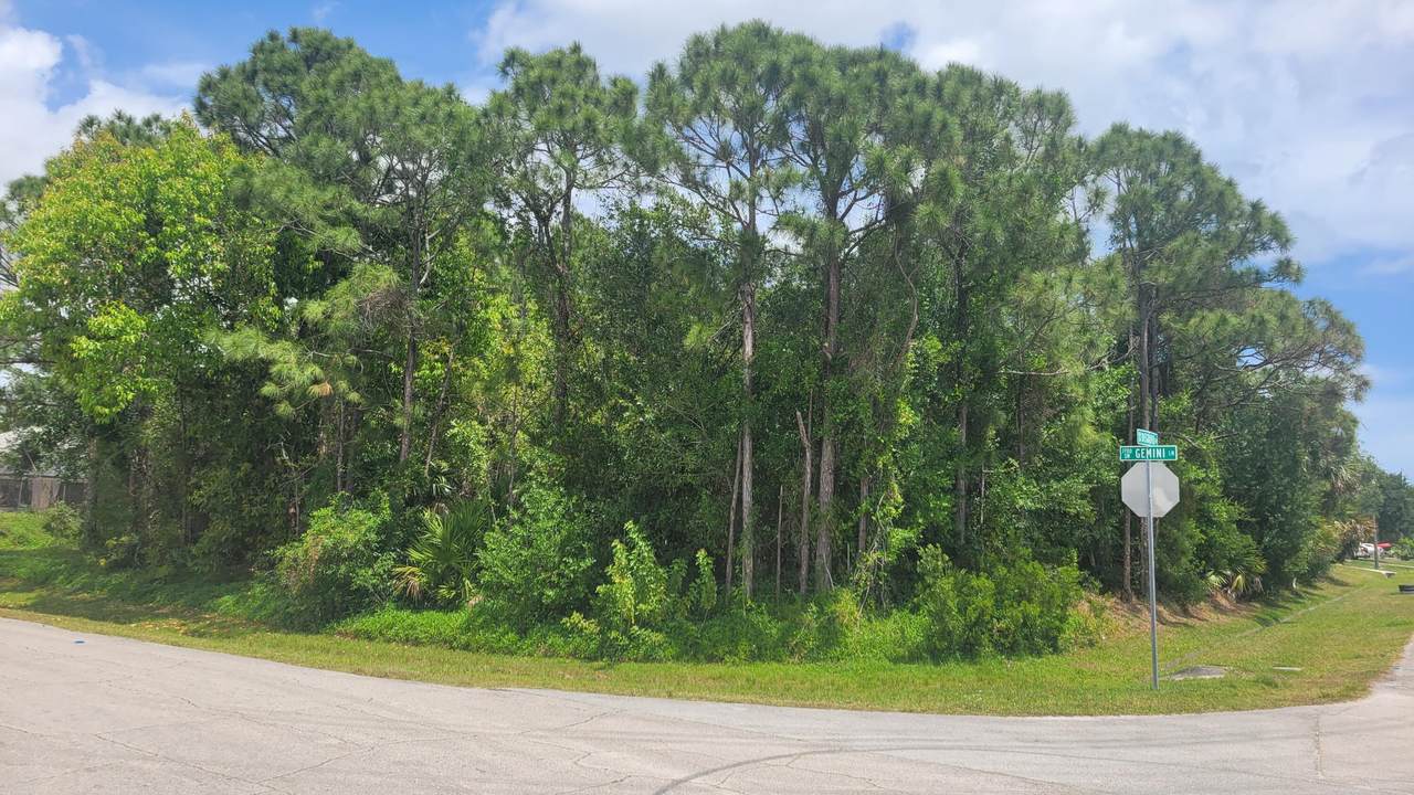 1789 Gemini Lane - Photo 1
