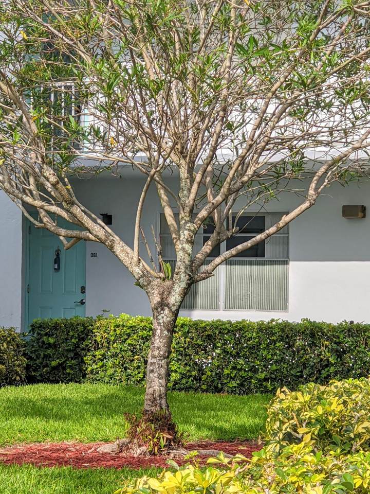 405 Monaco I - Photo 1