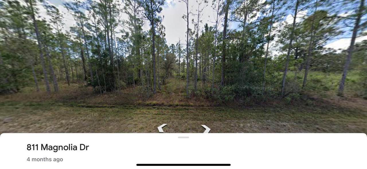 811 Magnolia Drive - Photo 1