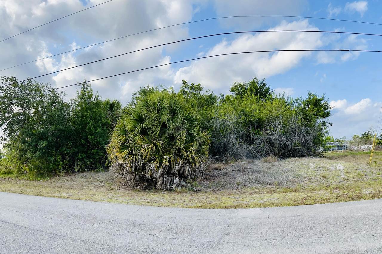 689 Icon Avenue - Photo 1