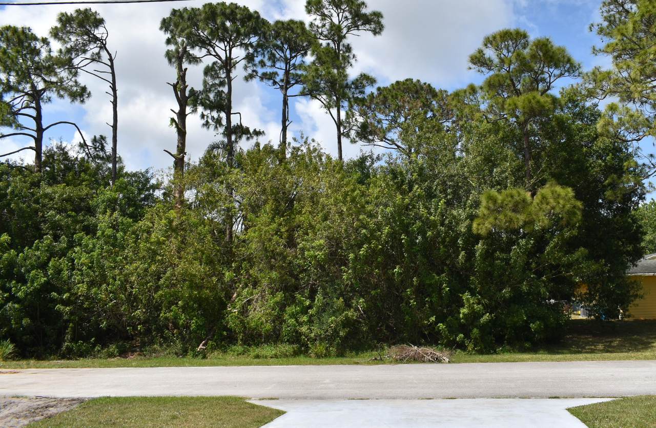 6904 Salerno Road - Photo 1