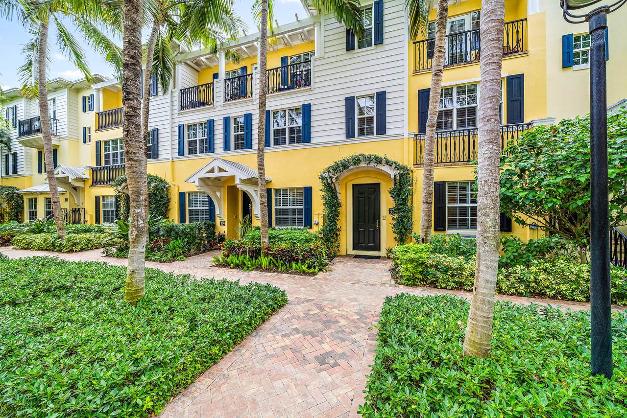 333 Bromeliad - Photo 1