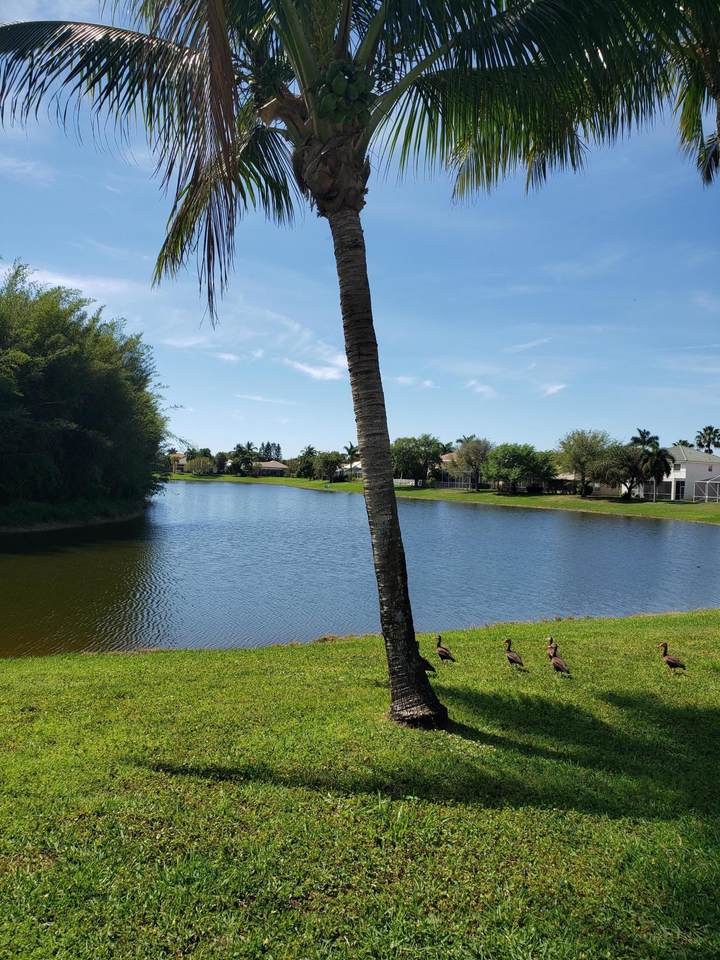 1650 Corsica Drive - Photo 1