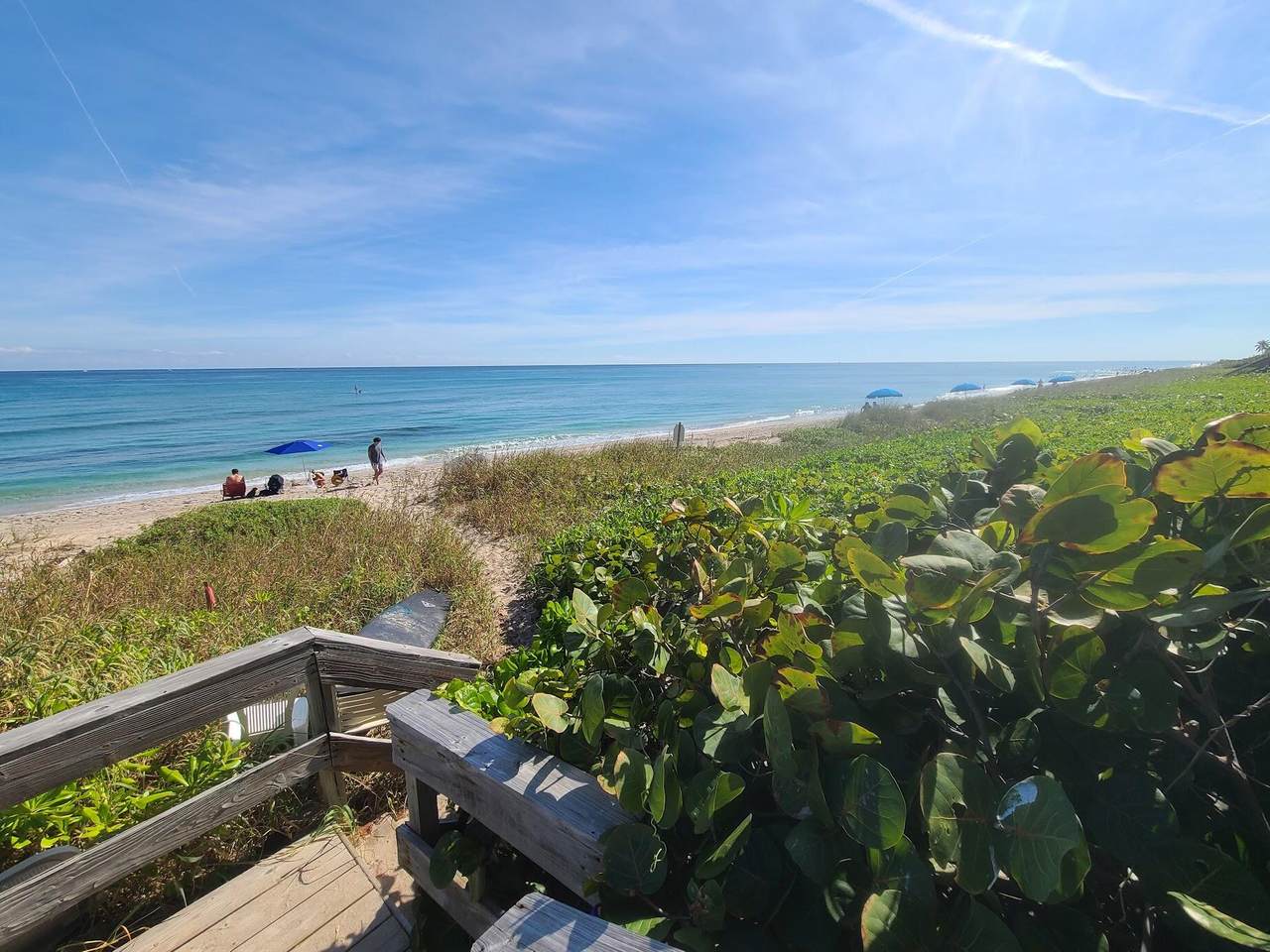 4440 Ocean Boulevard - Photo 1
