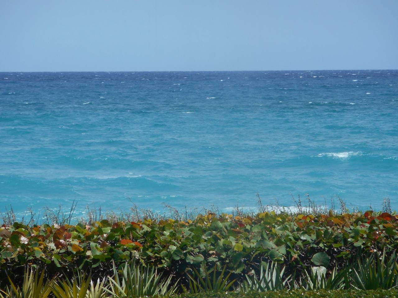 80 Celestial 102 Way - Photo 1
