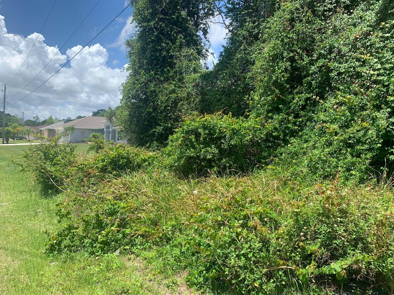 6053 Relief Court - Photo 1