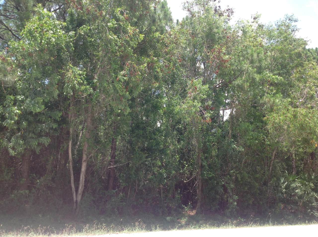 Ad-5 82nd Street - Photo 1