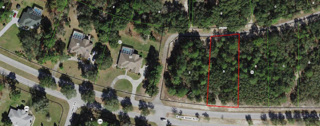 3351 Pine Ridge Boulevard - Photo 1