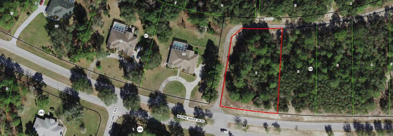 3385 Pine Ridge Boulevard - Photo 1