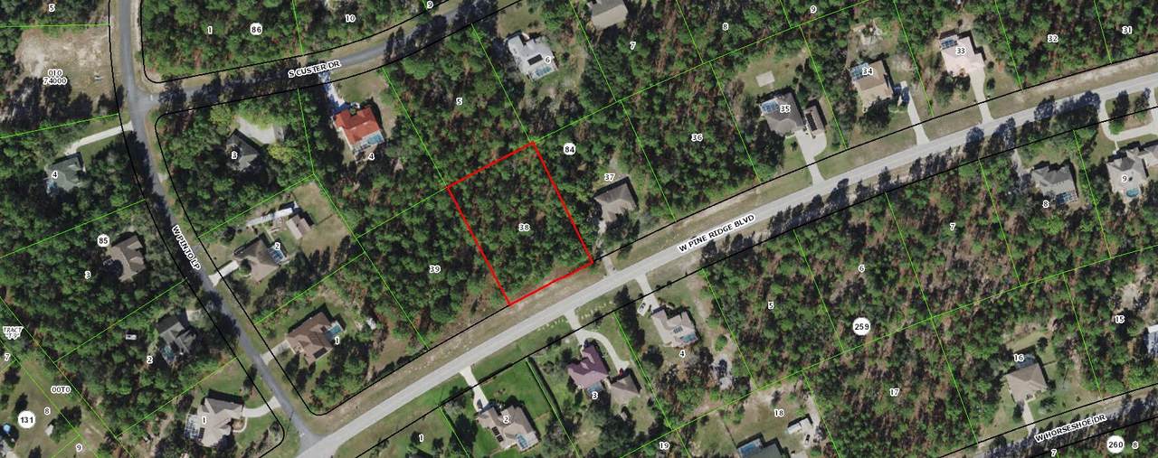 4941 Pine Ridge Boulevard - Photo 1