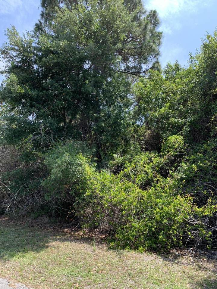 4241 Tuscol Street - Photo 1