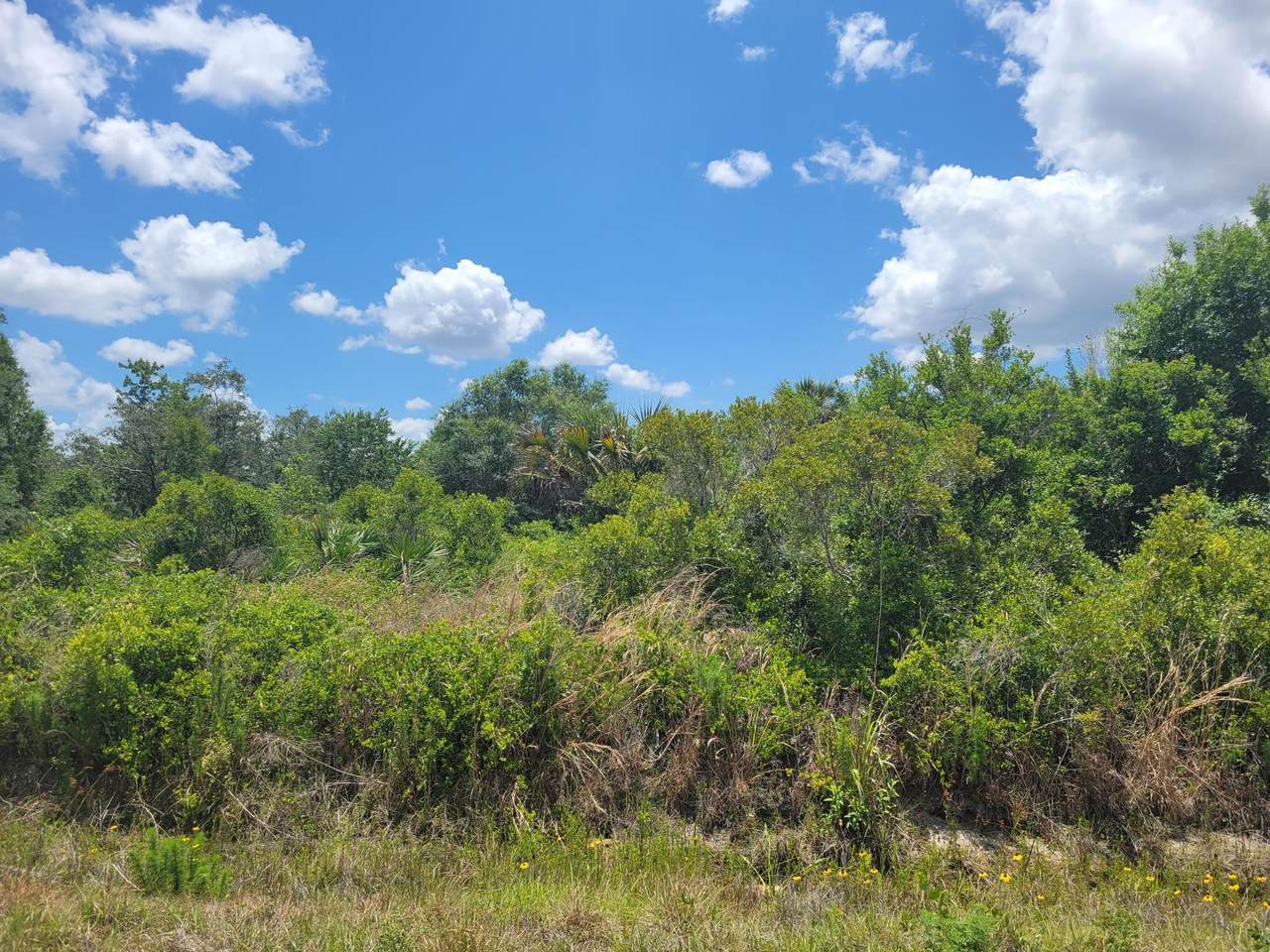 17128 266th Street - Photo 1