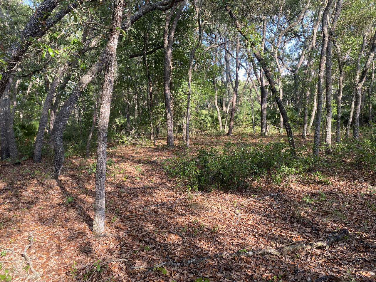 114 Pecan Avenue - Photo 1