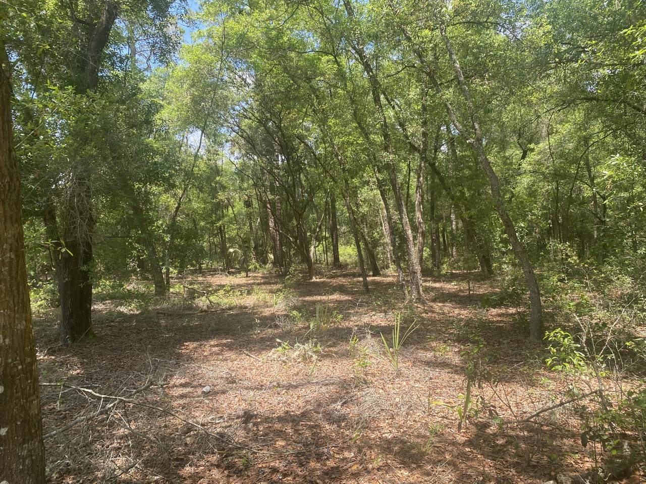 261 Shady Circle - Photo 1